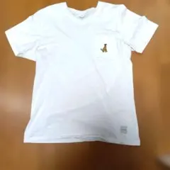 Item thumbnail for item 7fa19e51-47cf-4872-9749-e271d3baaca0