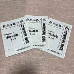 早稲田アカデミー NN早実クラス 正月特訓 国語・算数 - メルカリ