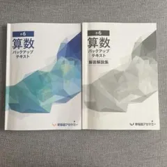 小6 算数バックアップテキストと解説集 - メルカリ