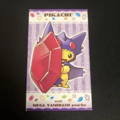 2026年最新】ポンチョ ピカチュウ 名刺の人気アイテム - メルカリ