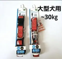 Item thumbnail for item 02290a34-5baf-43a5-aa7e-fe72545322d0