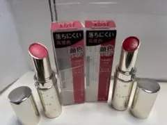 ELSIA 落ちにくい口紅 2本セット RD410 PK834