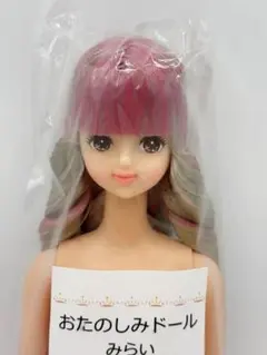 う*こ様 ★新品未開封★ みらい おたのしみドール リカちゃん キャッスル みらい おたのしみドール 27cm ドール リカちゃんキャッスル リトル