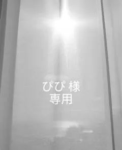 ぴぴ 様　専用