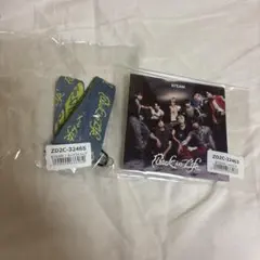 &TEAM Back to Life グッズセット 購入特典