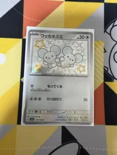 ワッカネズミ　S シャイニートレジャー