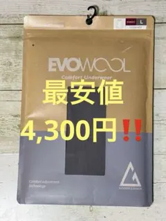 Item thumbnail for item 29b36669-13f8-45af-b568-c590dda2cefa