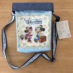 東京ディズニーリゾート　ポップコーンバケット　バケーションパッケージ