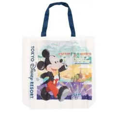 東京ディズニーリゾート　ショップ袋風エコバッグ