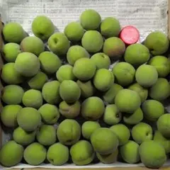 まあ陳様専用出品になります。