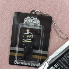 seventeen スングァン