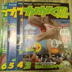 チャレンジ　かがく組 3・4年生2013年2、4、5、6月号4冊セット