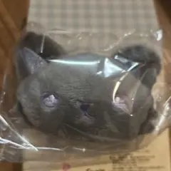 ピーハイ
