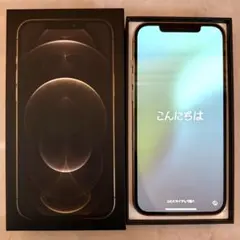 Apple iPhone12ProMax本体/512GB/ゴールド/SIMフリー