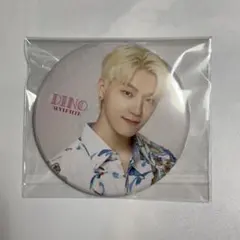 SEVENTEEN ディノ 缶バッジ summer 最安値