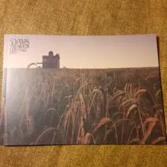 「Days of Heaven 天国の日々4K」パンフレット