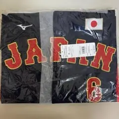 Item thumbnail for item bf24732d-a2ee-4c74-bae0-8a87acf2cd2e