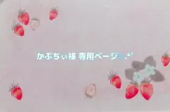 かぷちぃ様 専用ページ✩.*˚