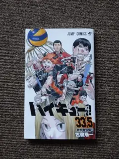 ハイキュー!!33.5音駒番外編！