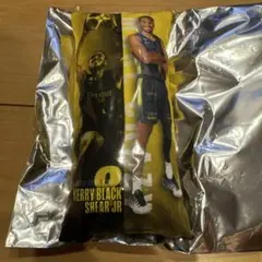 群馬クレインサンダーズ　ブラックシアー 8 クッションキーホルダー レアのサムネイル