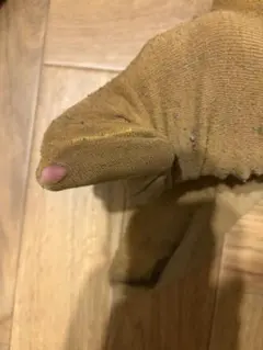 靴下 お掃除用