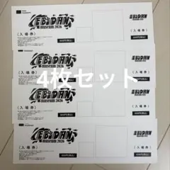 入場券セット EBiDAN museum 2026 エビミュ 入場券 3枚セット - メルカリ