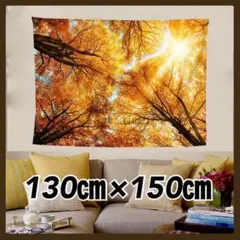 タペストリー 背景布 紅葉 木 金具付 木漏れ日 ボタニカル 壁掛け 季節 H3