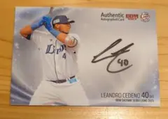 2025年最新】西武ライオンズサインの人気アイテム - メルカリ