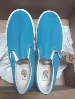 VANS Classic Slip-On Eco Theory 25cm