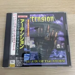 イントゥ・ジ・アイ・オブ・ザ・ストーム