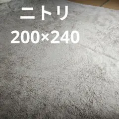 ニトリ　スペースラグ　ベージュ　カーペット　200×240㎝