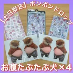 【土日限定SALE❣】柴犬 おなかぷにぷに シール 4枚＋ドロップシール3枚