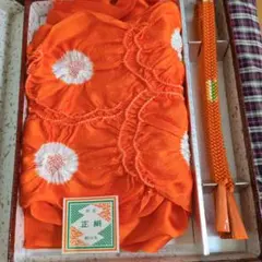 Item thumbnail for item ff561799-34ec-4b13-91e4-c114c3eb6fcb