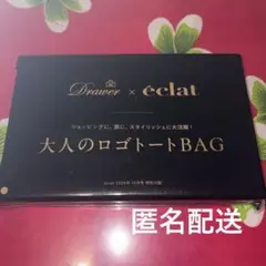 エクラ10月号付録 Drawer × éclatドゥロワー大人のロゴトートバッグ