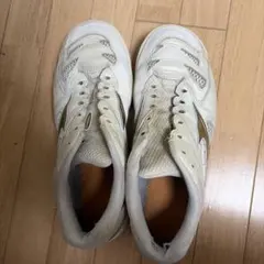 ミズノウェーブファングプロのサムネイル