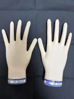 JNEC 認定モデルハンド　骨折なし JNEC認定モデルハンド 両手 骨折なし ネイリスト検定 ネイルアート