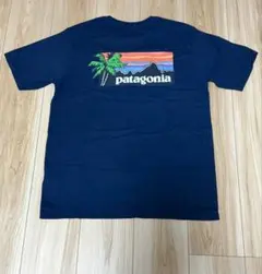 【新品】パタゴニア アイランドロゴ レスポンシビリティー T ネイビー Sサイズのサムネイル