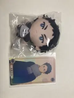 ハイキュー　赤葦京治　ぬいぐるみ/カード