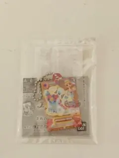 だれでもアクリルチャーム1 アイカツ✖️プリパラ