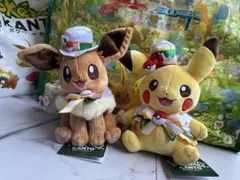 ポケパークカントー限定 イーブイ ブイズ アクリルキーホルダー
