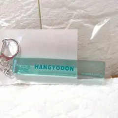 【新品/未使用/未開封】HANGYODON アクリルキーホルダー ハンギョドン