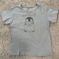 チャットモンチー バンドTシャツ - メルカリ