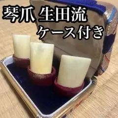 코토즈메 이쿠타 스타일 케이스 포함 3종 세트 (플라스틱, 초보자용) 일본 악기