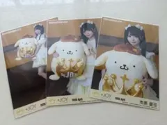 ≒JOY 大西葵 生写真 コンプ サンリオ ポムポムプリン コラボ