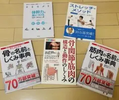 【初心者向け】解剖学、ストレッチ関連　まとめ売り5本セット