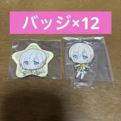 匿名配送 あんスタ アニカフェ 星型缶バッジ /アクスタ 天祥院英智