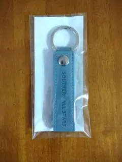 2026年最新】サザンオールスターズ キーホルダーの人気アイテム - メルカリ