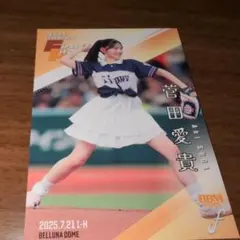 ぽん太郎様 リクエスト 2点 まとめ商品