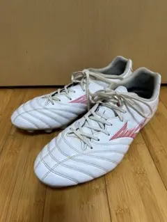 ホーリー様 リクエスト 2点 まとめ商品