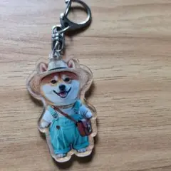 新品未使用の可愛い柴犬 アクリルキーホルダー